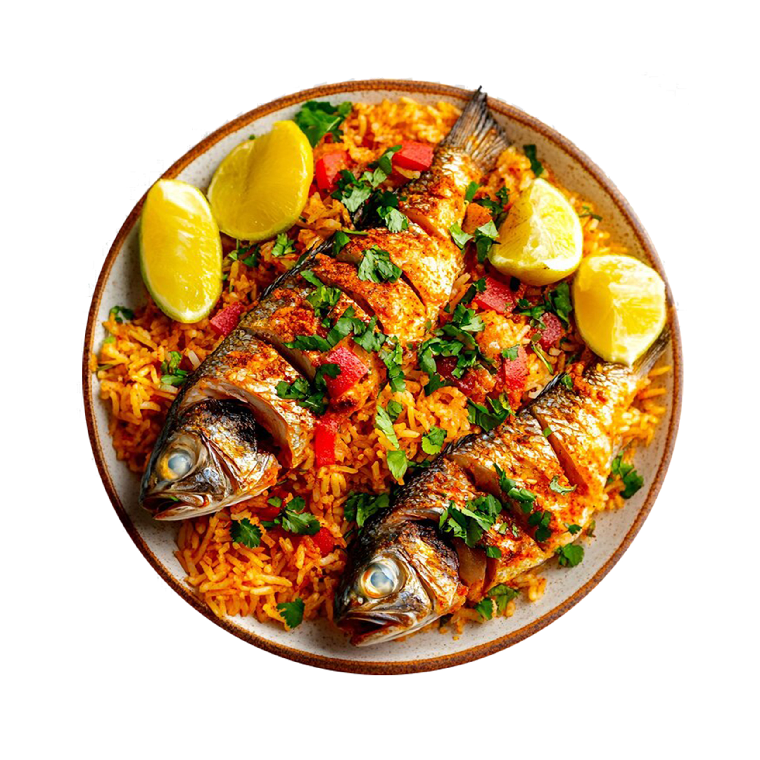 Fish-Biryani